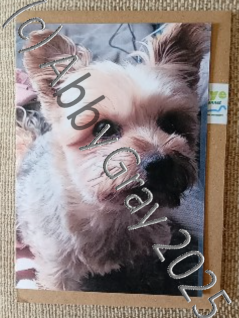 Benji Dog Yorkie Yorkshire Terrier Greeting Card - Printed in Wiltshire - Original Design by Abby Gray